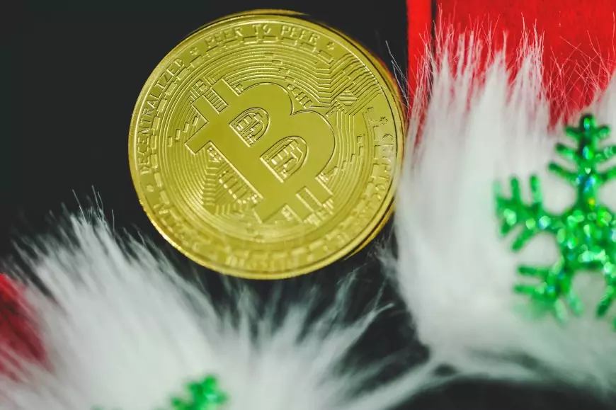 Blockchain Vs Web3.0 Developers: Understanding the Evolution of Decentralized Technology