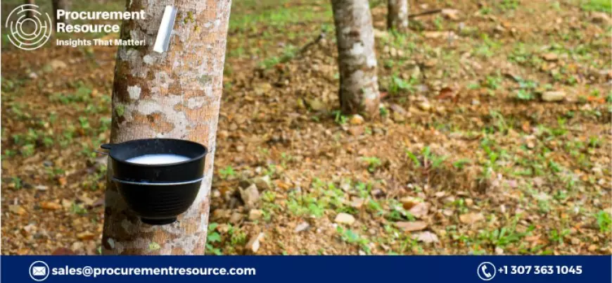 The Cost of Halo Butyl Rubber Production: Market Drivers, Trends, and Market Research Report