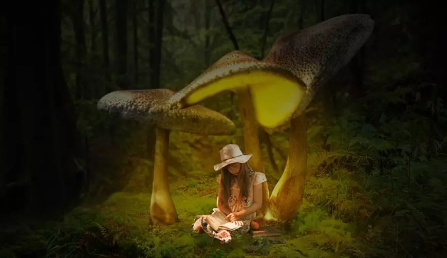 Mushroom Lamps
