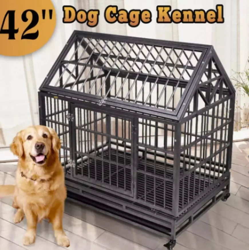 The Role of Dog Crate in Teaching Dogs Safe Behavior