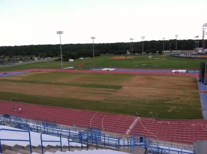 Soccer Field: More Than Just a Patch of Grass