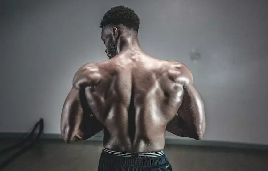 WellHealth: How to Build Muscle