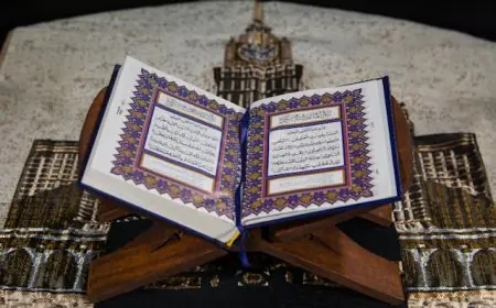 How to Learn Tafseer of the Quran 