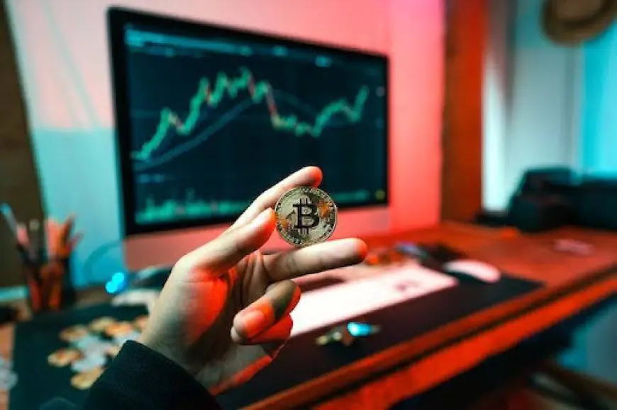 Analysing the Volatility of Cryptocurrencies: Causes and Effects