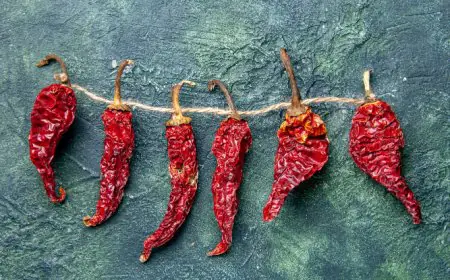 Guajillo Peppers: Exploring the Flavorful World of Mexico's Iconic Chili