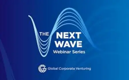 Navigating the Next Wave: Revealing the Future of Web Streaming