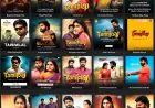 Tamilplay: A Comprehensive Guide to Online Entertainment