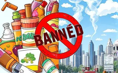 Navigating the Smoke-Free Landscape: A Closer Look at Tobacco Flavor Bans