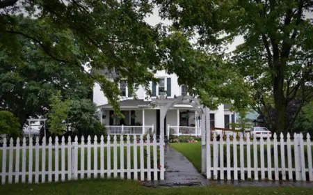 Should I Repair or Replace My Fencin